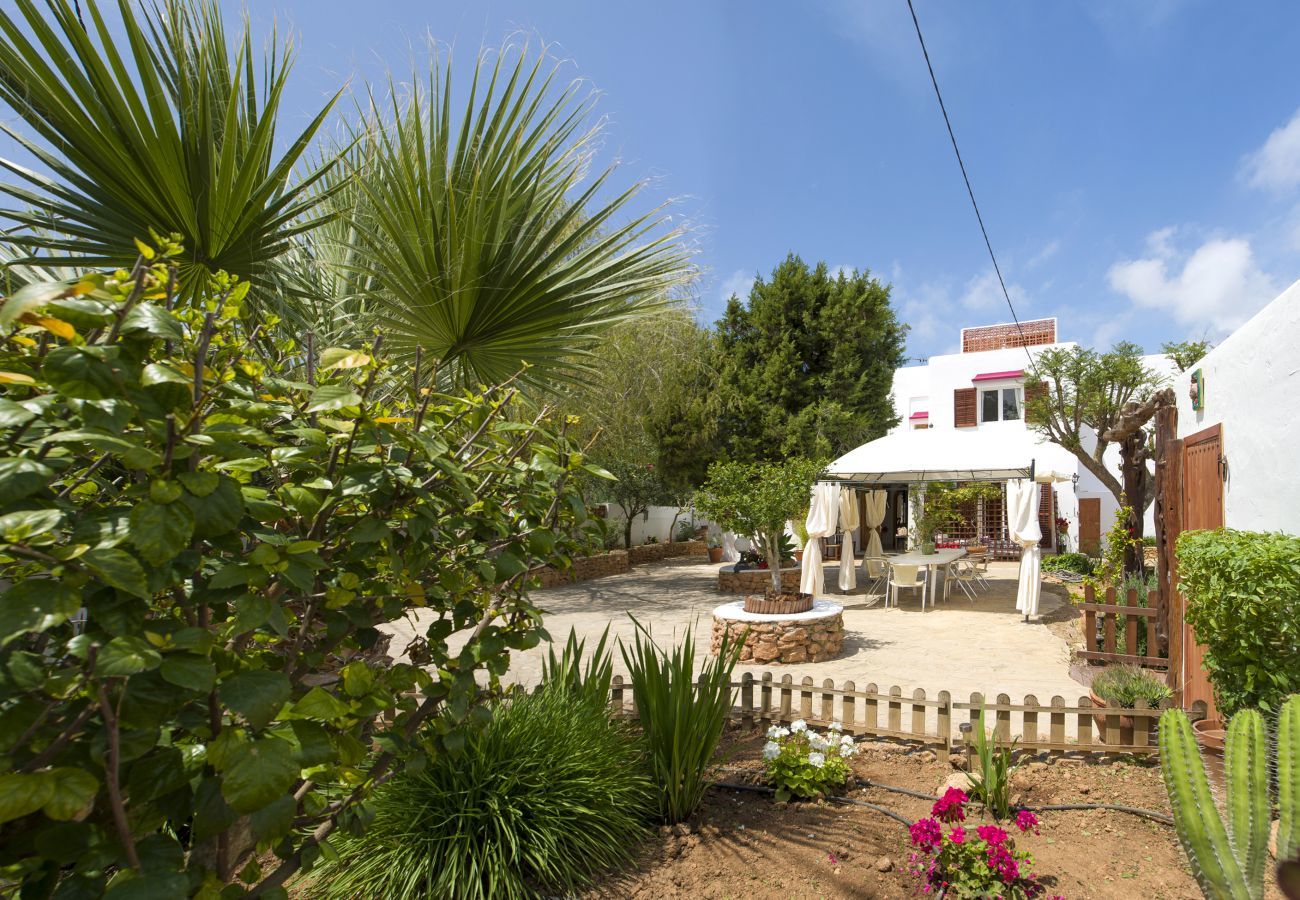 Jardin privé de cette villa Can Lucia à côté de la plage de Sant Antoni à Ibiza.